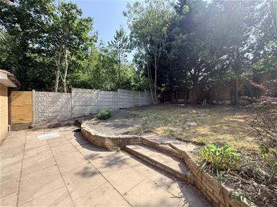 Picture 26